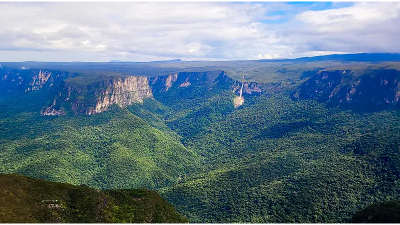 Expedição científica vai explorar montanhas isoladas da Amazônia em busca de espécies desconhecidas