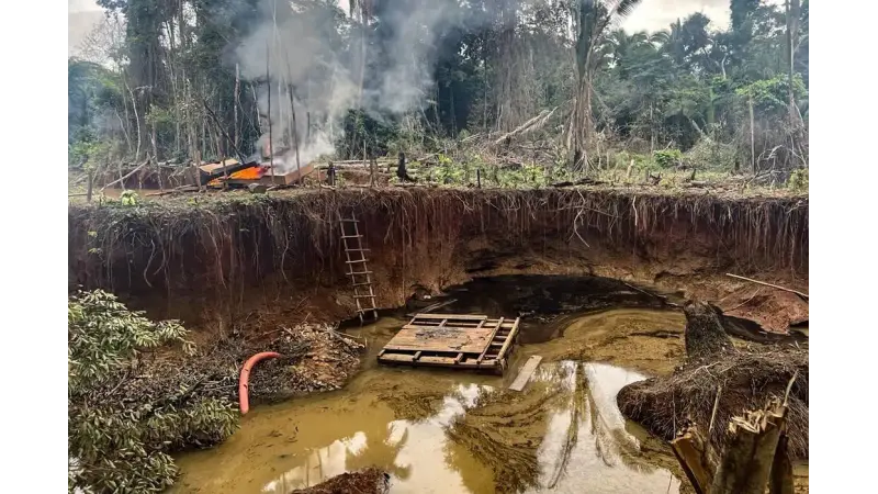 Garimpo ilegal não conhece fronteiras: como Brasil e França podem cooperar para proteger a Amazônia