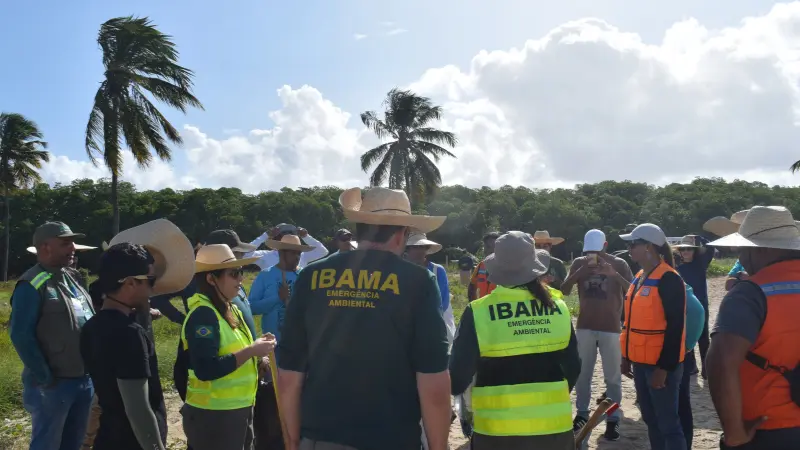 Governo anuncia novas nomeações no Ibama e ICMBio durante a abertura da COP30