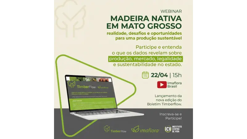 [Inscrições gratuitas] Webinar debate desafios e oportunidades da produção madeireira sustentável em Mato Grosso no lançamento de novo boletim Timberflow