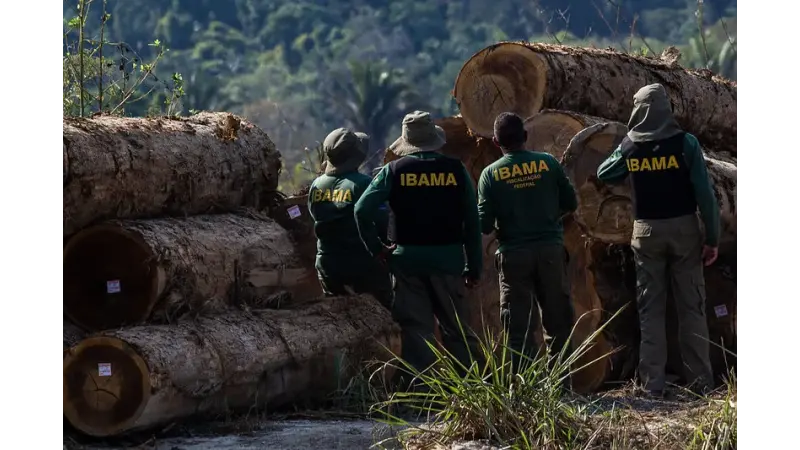Madeireiras com selo de sustentabilidade tiveram mais de R$ 100 milhões em multas do Ibama