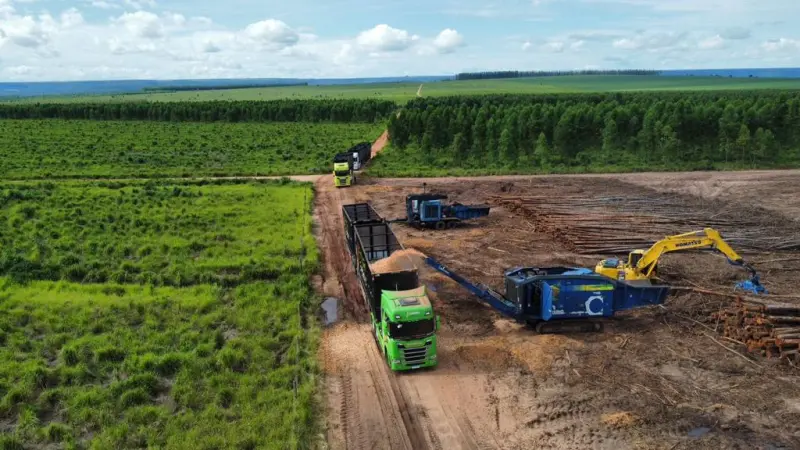 Mato Grosso projeta salto em Florestas plantadas para sustentar indústria do Etanol de Milho