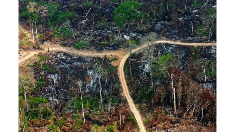 Medidas provisórias que reduzem áreas protegidas na Amazônia são aprovadas no Senado