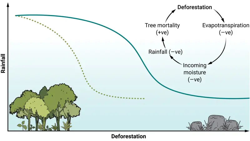 Modelagem de sinais de alerta precoce de possível extinção da Floresta Amazônica