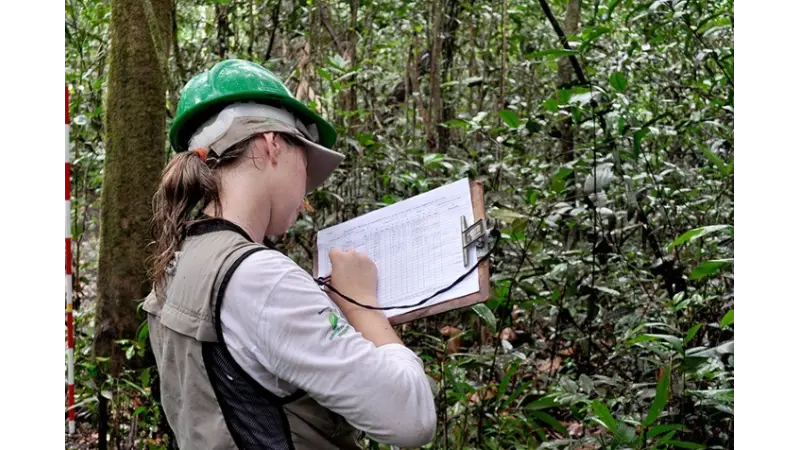 QUAL A DIFERENÇA ENTRE ENGENHARIA AMBIENTAL E ENGENHARIA FLORESTAL?