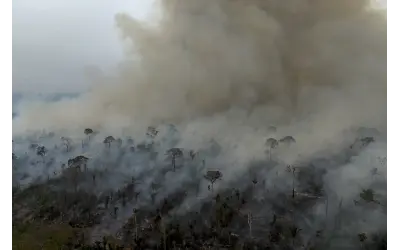 Novo “super” El Niño pode empurrar partes da Amazônia para um ponto de não retorno