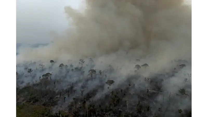 Novo “super” El Niño pode empurrar partes da Amazônia para um ponto de não retorno
