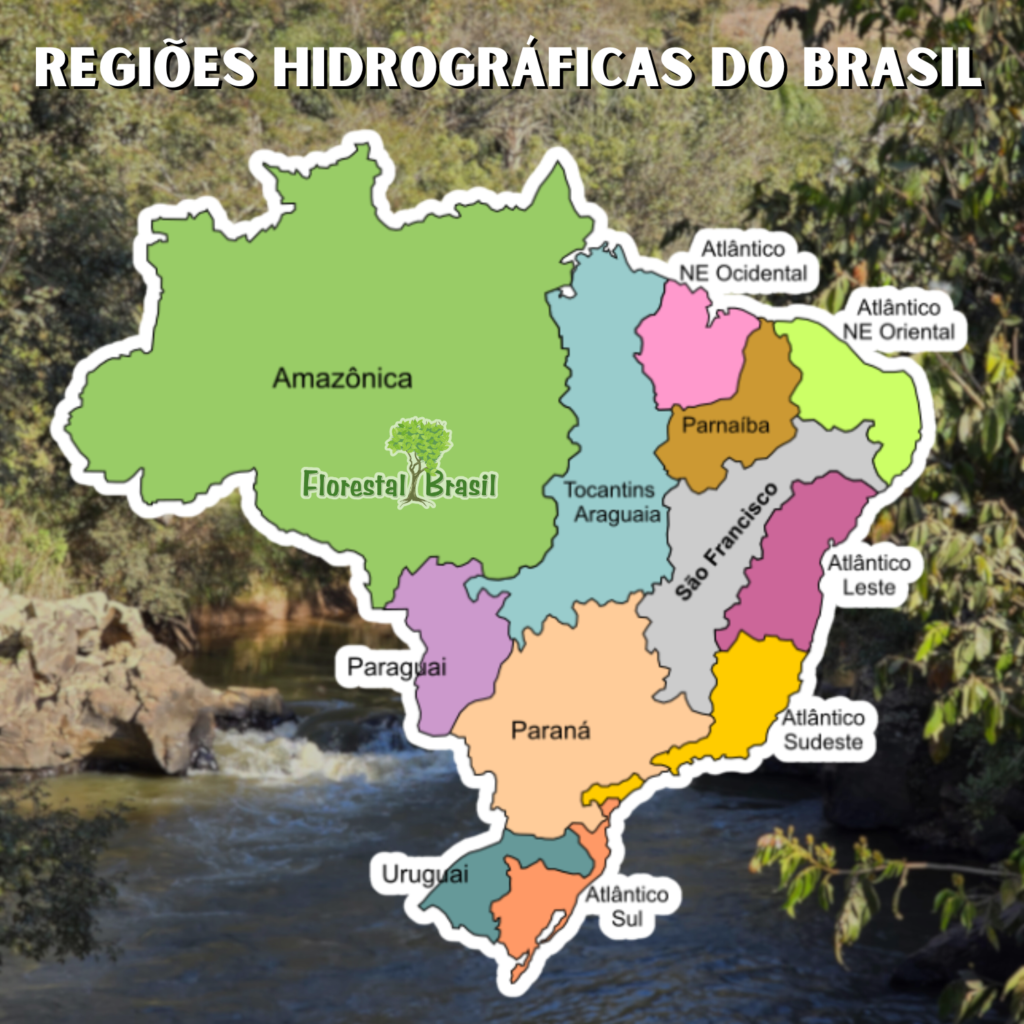 Regiões hidrográficas do Brasil | Florestal Brasil
