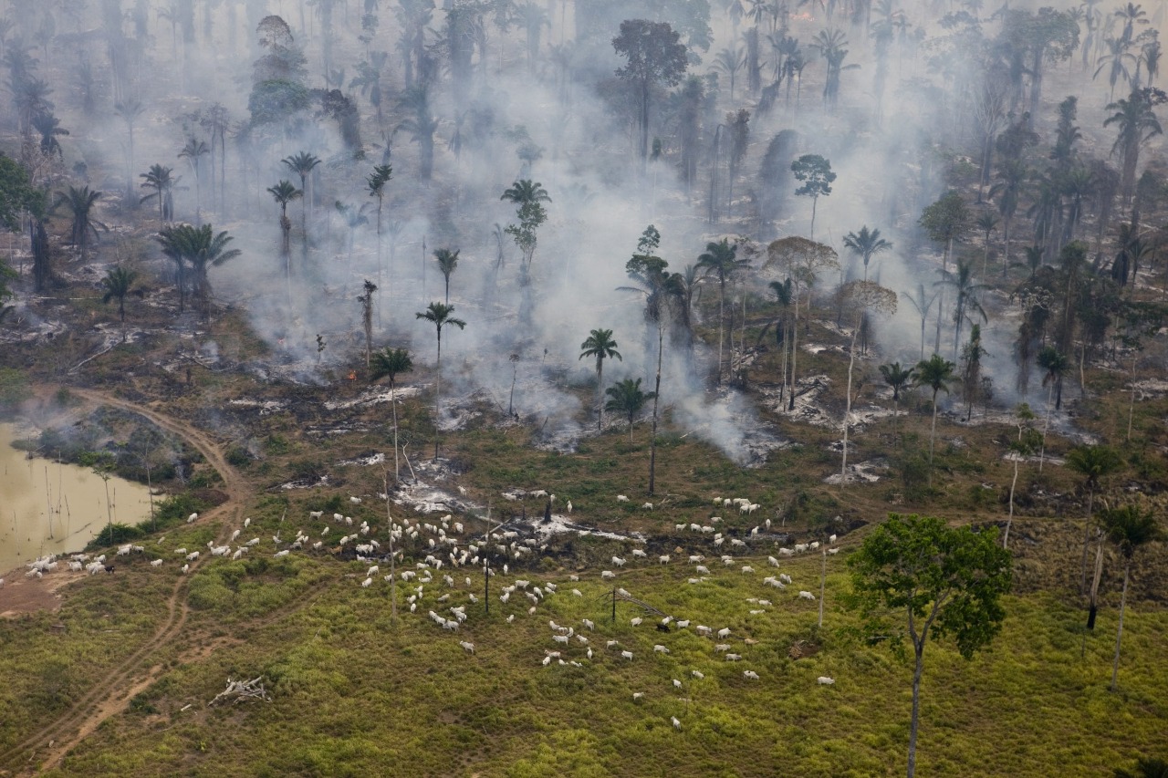 A Amazônia brasileira já se aproxima do limite crítico de 20% a 25% de desmatamento previsto pela ciência como ponto de não retorno