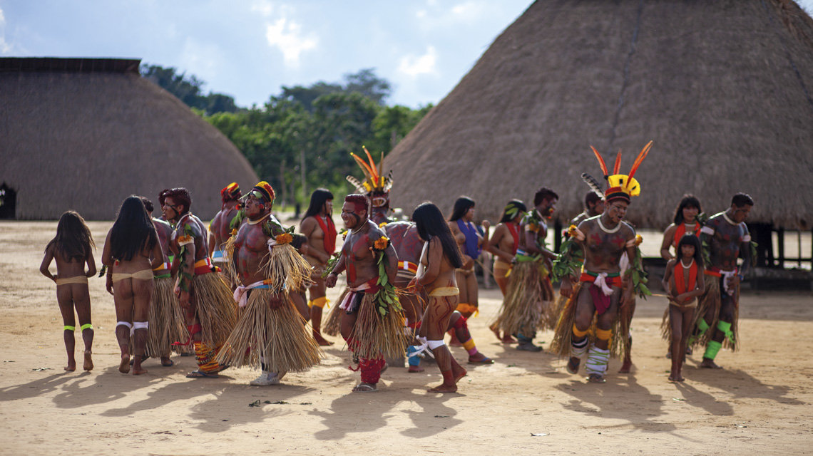 diversidade genética da mandioca