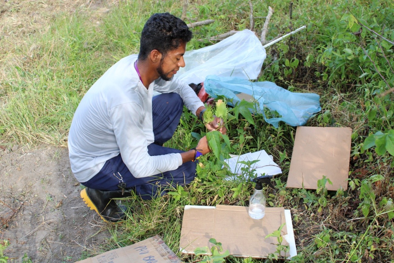 Etnobotânico indígena resgata 175 plantas medicinais do povo Pataxó Hã-Hã-Hãi
