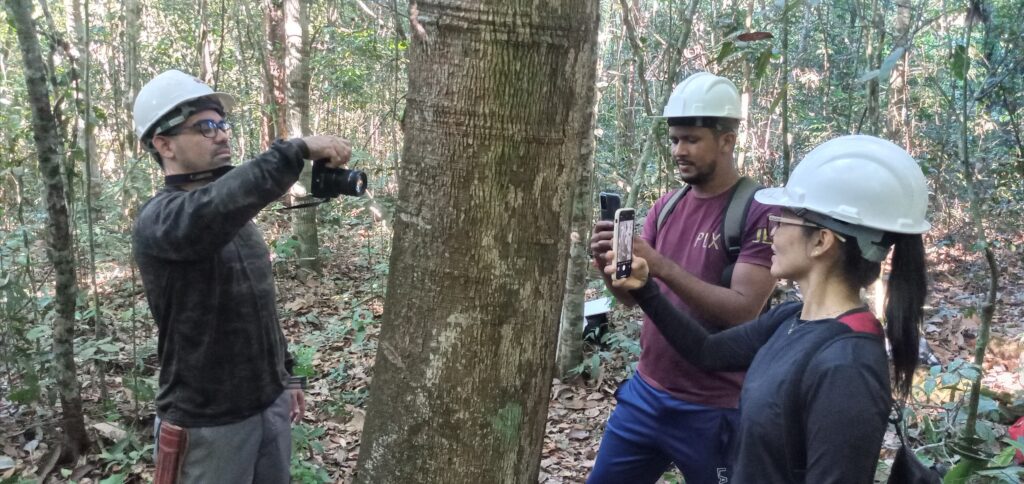 Pesquisadores registram imagens de cascas de árvores em área de manejo florestal. Foto: Divulgação