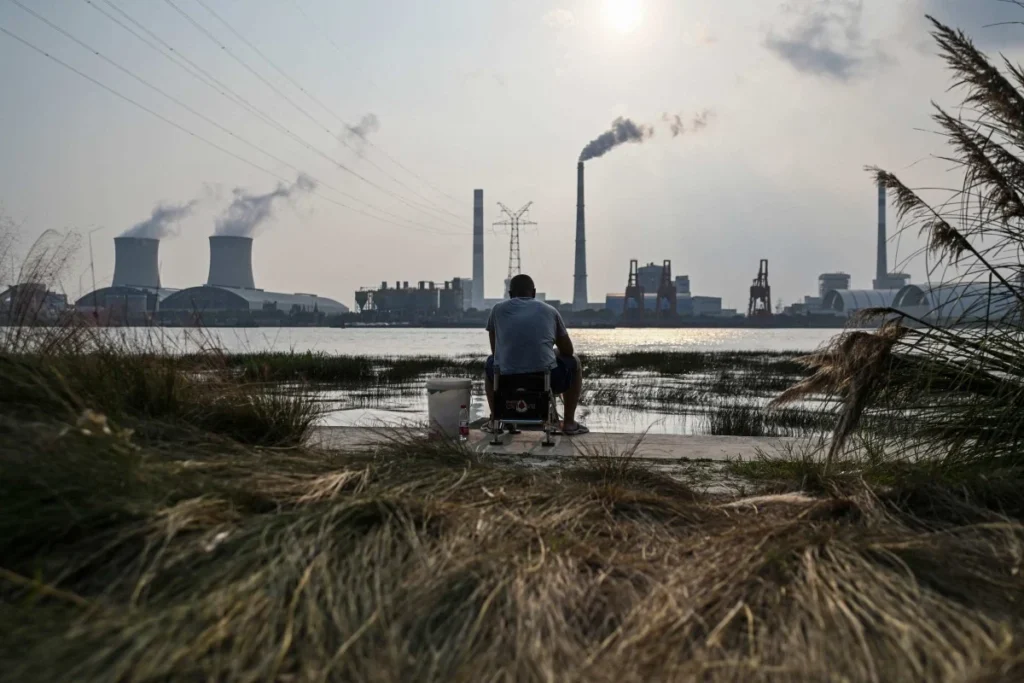 China não investe no fundo florestal
