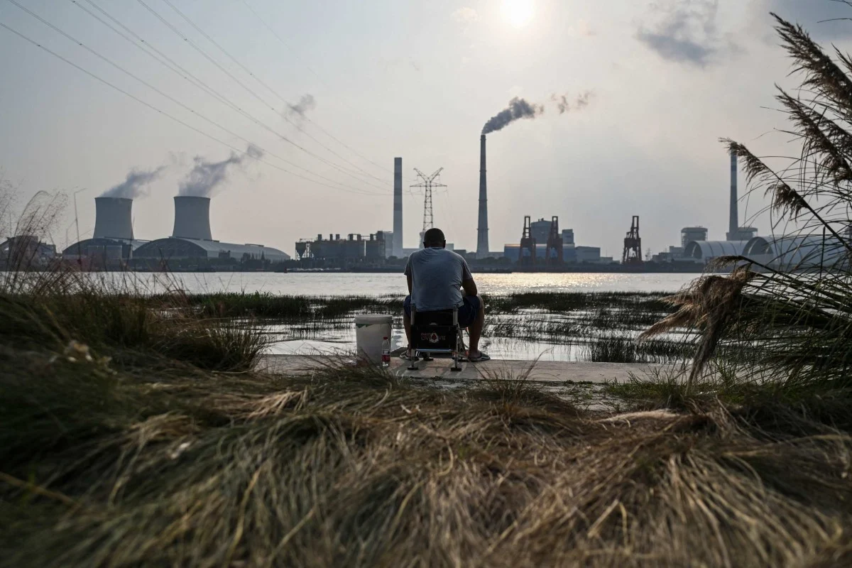 China decide não investir no fundo florestal criado pelo Brasil na COP30