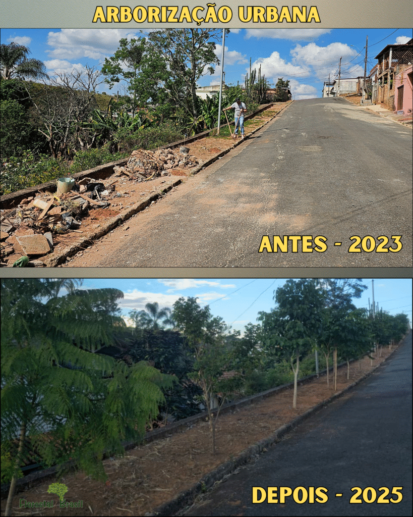 árvores da calçada