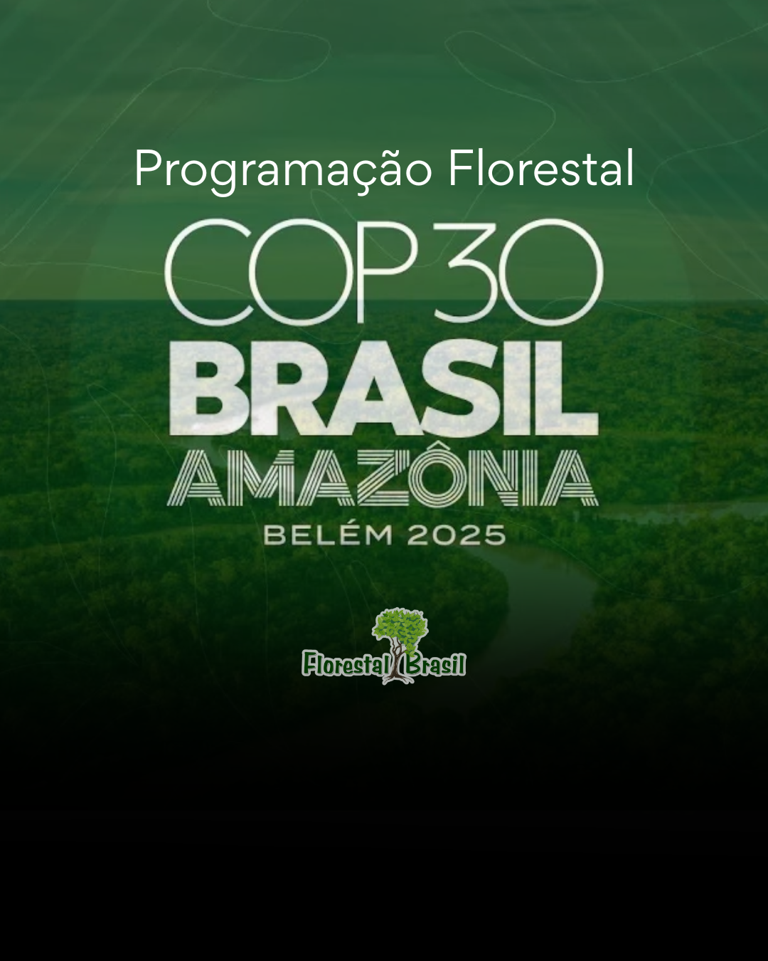 Não se Perca na COP30: Compilado da programação de todos os eventos e paineis relacionada a Florestas