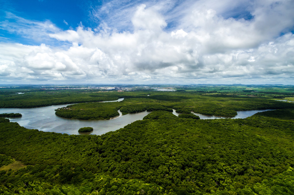 O que é o TFFF e por que ele pode transformar a conservação das florestas tropicais
