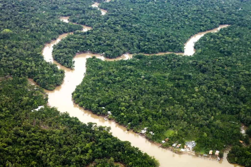 créditos de carbono em concessões florestais