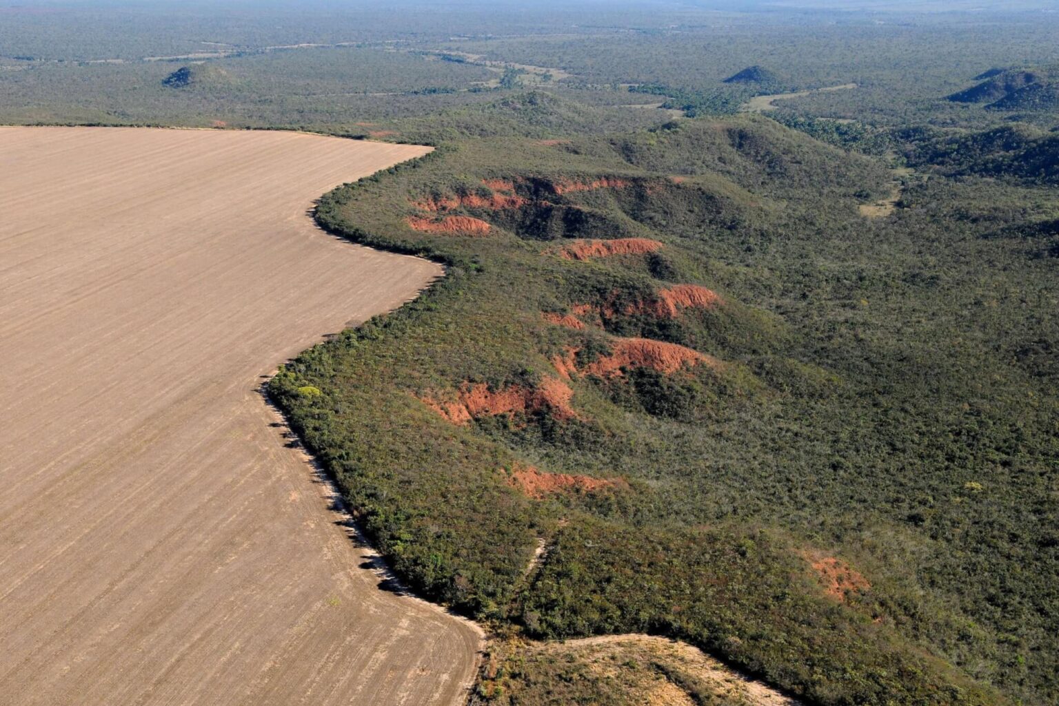 Desmatamento dispara 22% em 2022 e expõe velocidade alarmante da perda ambiental no Brasil