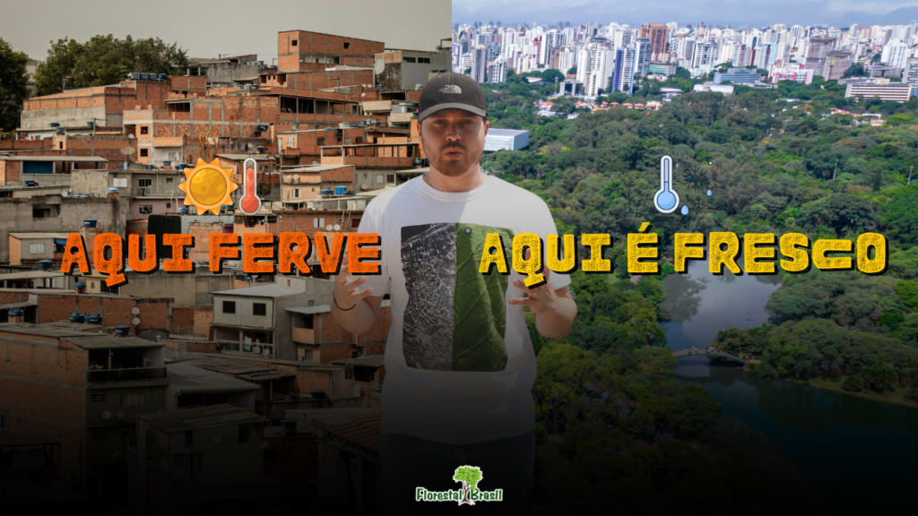 desigualdade verde