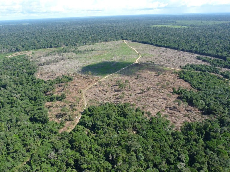 Desmatamento ilegal em áreas protegidas leva MP a investigar crime ambiental no interior do Acre