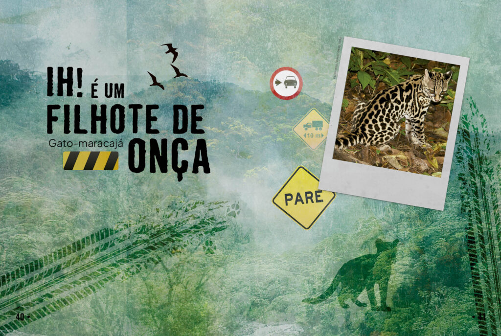 Ilustração do livro mostrando o biólogo Tião da Estrada realizando um resgate de animal silvestre na rodovia.