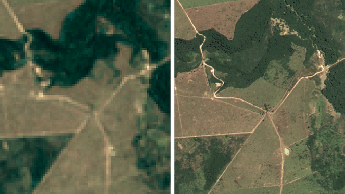 Google libera imagens mais nítidas do Brasil para monitoramento florestal