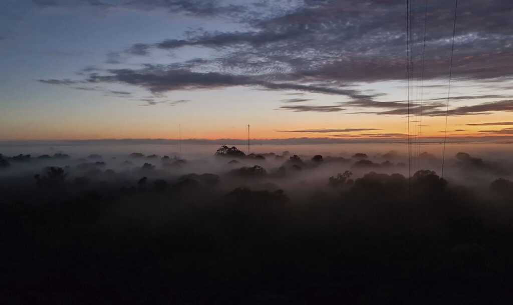 Nevoeiro na Amazônia microrganismos