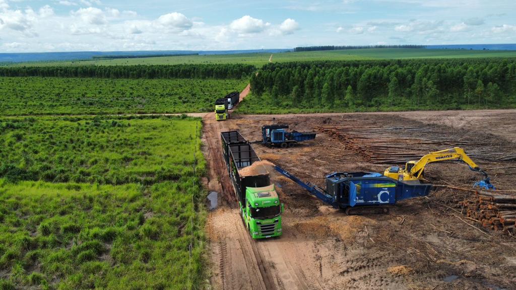 Mato Grosso projeta salto em Florestas plantadas para sustentar indústria do Etanol de Milho