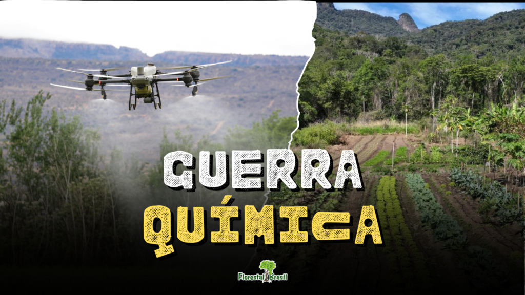 Guerra química no Maranhão