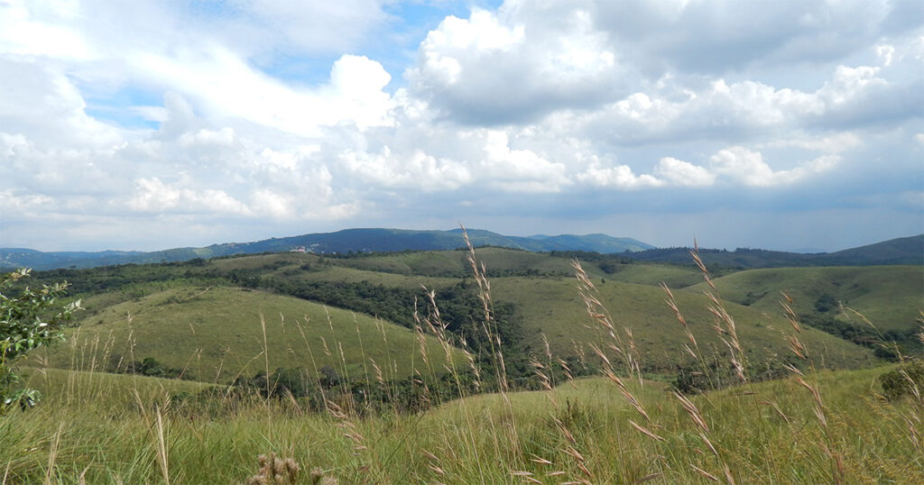 Herbcronologia em campos naturais