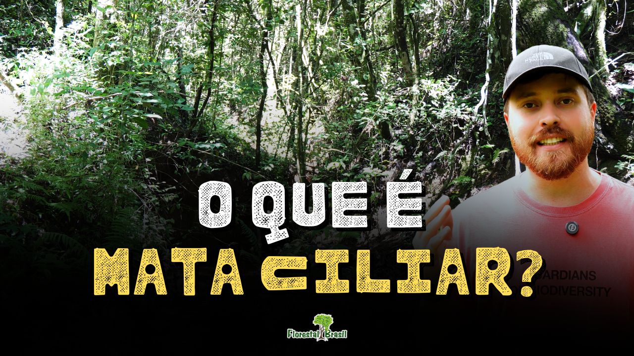 Mata Ciliar, APP e Reserva Legal