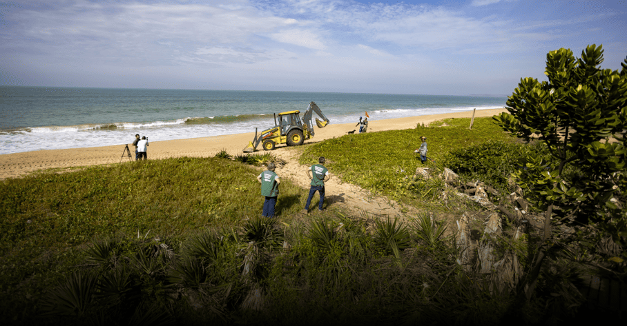 Projeto ambiental em Macaé chama atenção nas redes e reacende debate sobre restauração de restingas