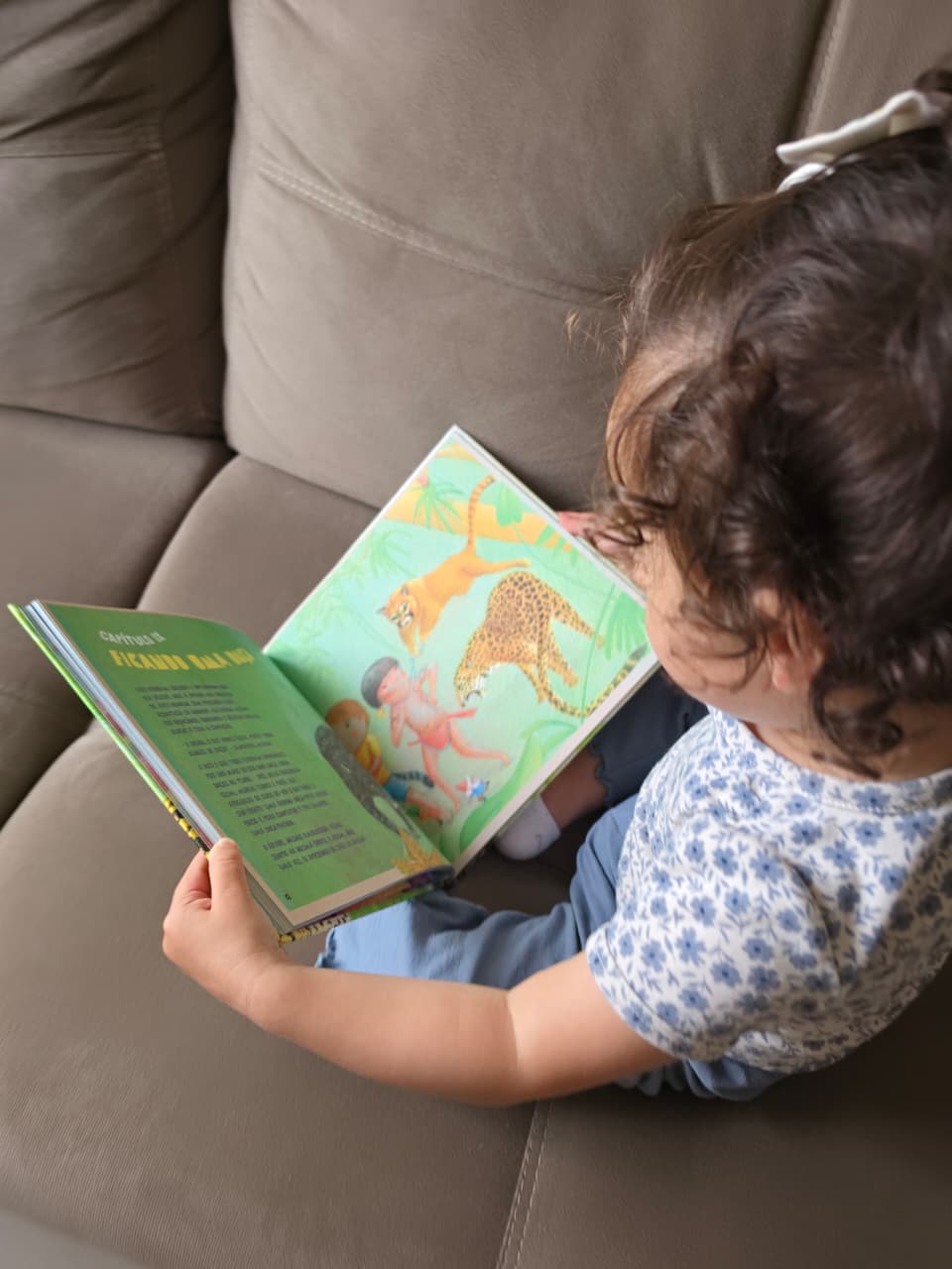 A semente da educação ambiental: resenha da obra infantil "Tunico e a Árvore de Jabuticaba"