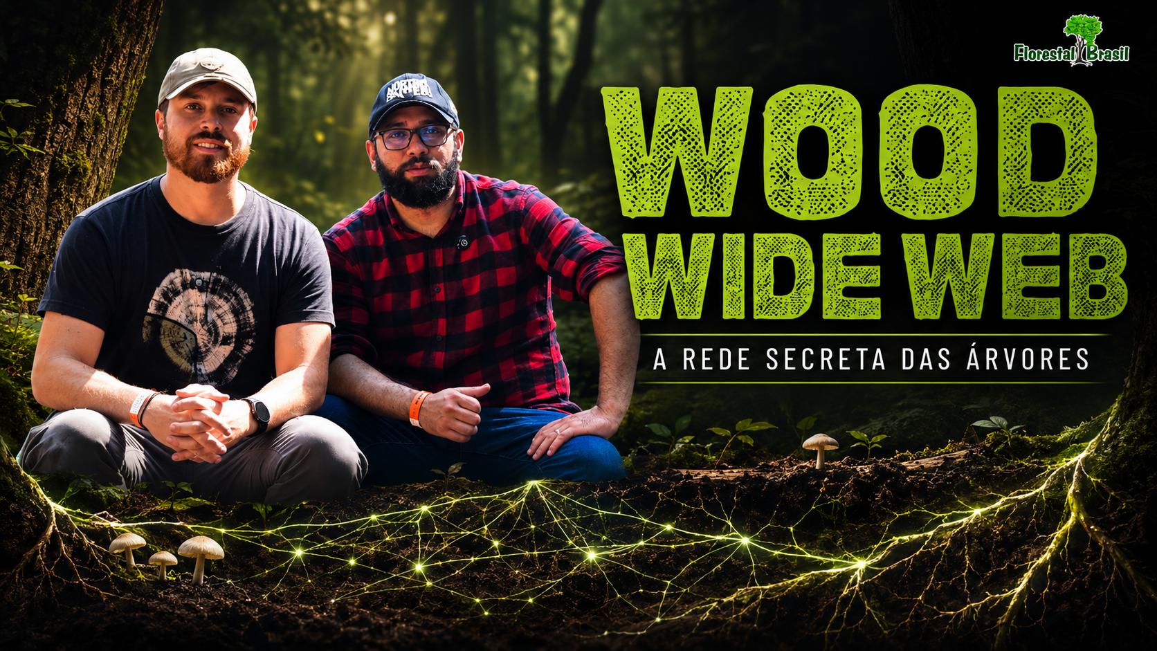 Wood Wide Web: o segredo oculto debaixo das florestas