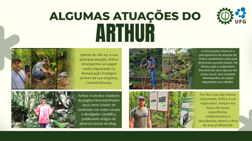 Carreira em Engenharia Florestal