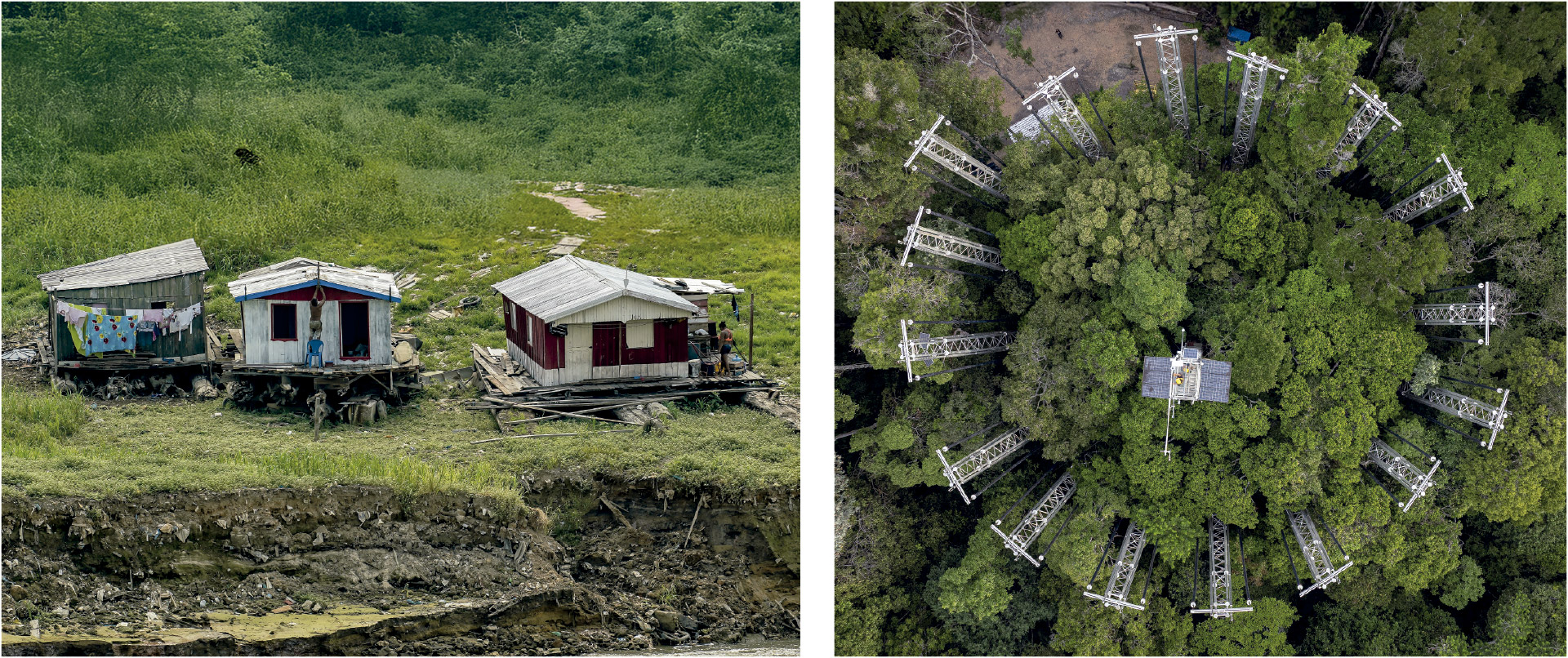 Degradação amazônica